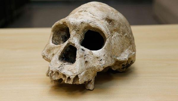DESCOBERTA DE BRASILEIROS PODE MUDAR HISTÓRIA DA HUMANIDADE