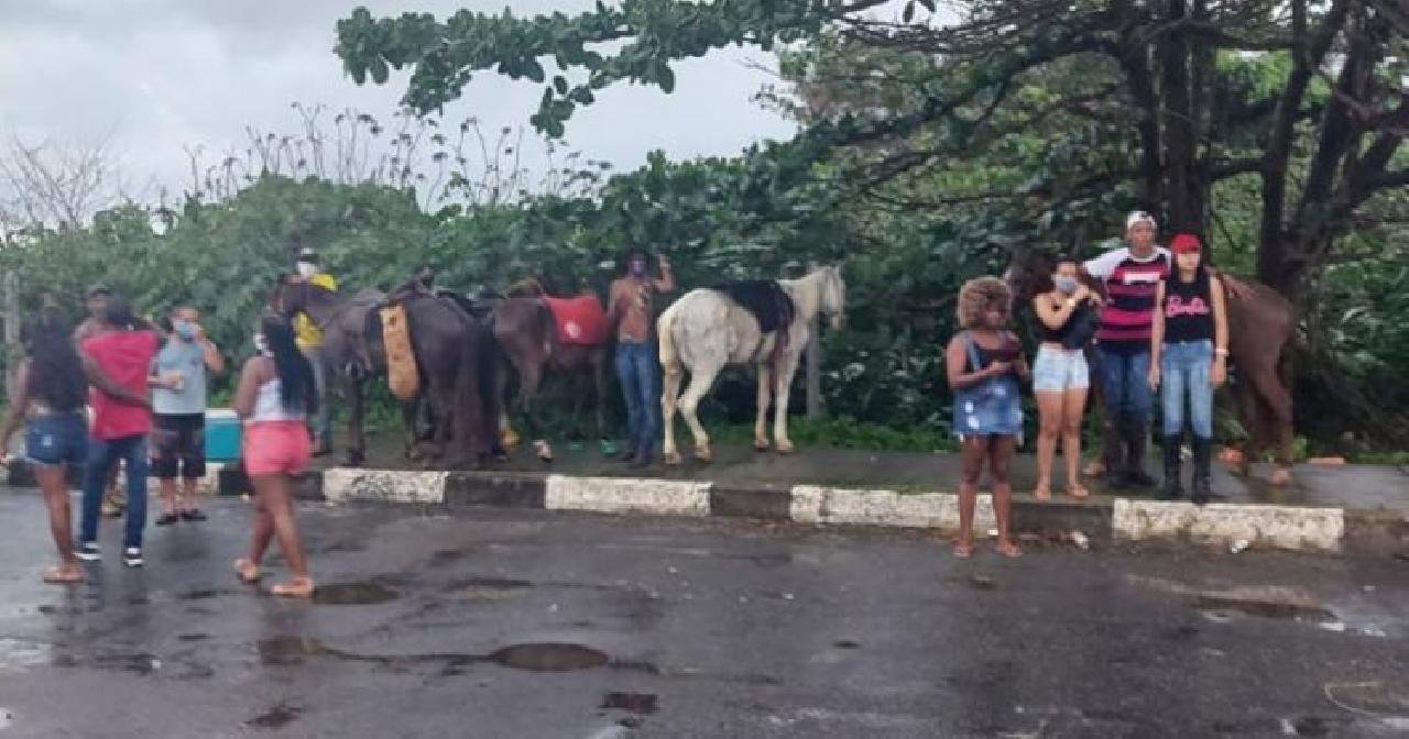 CORRIDA ILEGAL DE CAVALOS É ENCERRADA PELA PM CORRIDA ILEGAL DE CAVALOS É ENCERRADA PELA PM