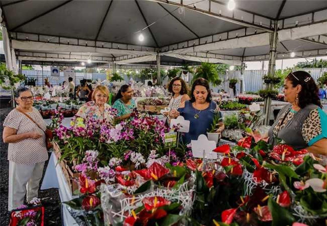 'ILHÉUS EM FLOR' COMEÇA NESTA TERÇA-FEIRA (24); EVENTO ACONTECE NA AV. SOARES LOPES 'ILHÉUS EM FLOR' COMEÇA NESTA TERÇA-FEIRA (24); EVENTO ACONTECE NA AV. SOARES LOPES