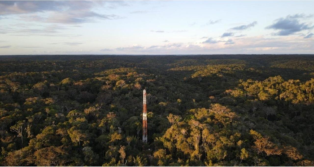 UESC E UFSB PARTICIPAM DE PROJETO INÉDITO PARA MAPEAR CARBONO DA MATA ATLÂNTICA