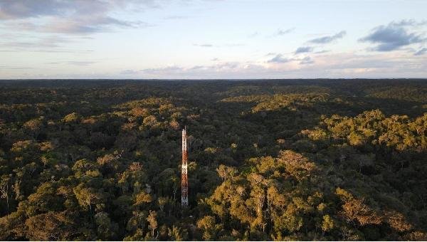 UESC E UFSB PARTICIPAM DE PROJETO INÉDITO PARA MAPEAR CARBONO DA MATA ATLÂNTICA