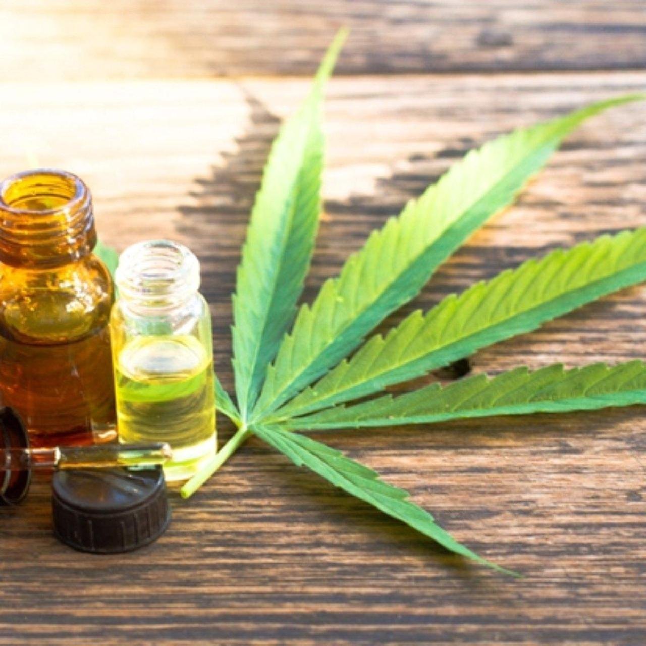 PESQUISADORES CONSEGUEM COMBATER SINTOMAS DO ALZHEIMER COM CANABINOIDE PESQUISADORES CONSEGUEM COMBATER SINTOMAS DO ALZHEIMER COM CANABINOIDE