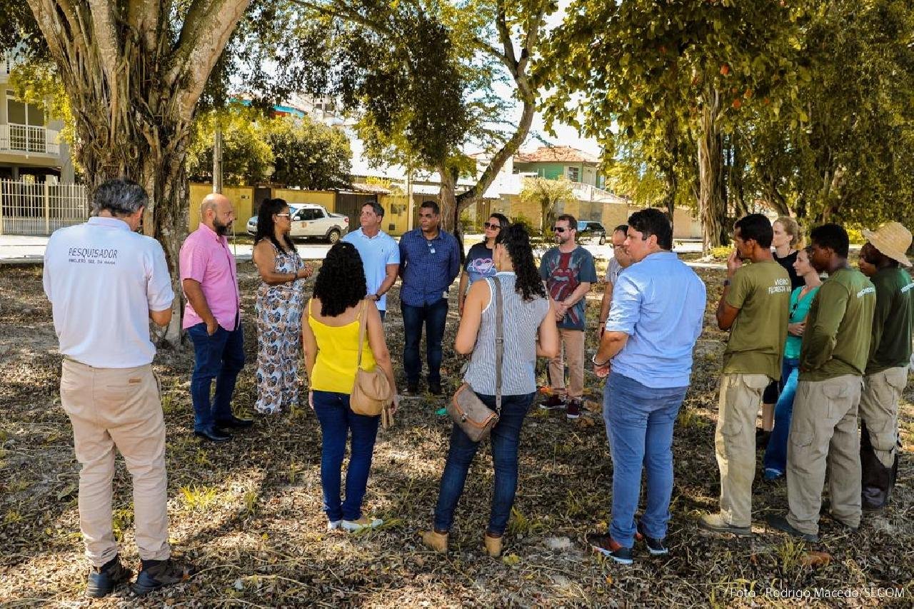 ILHÉUS: PLANTIO DE MIL MUDAS DE ÁRVORES NATIVAS É FEITO EM VIAS PÚBLICAS ILHÉUS: PLANTIO DE MIL MUDAS DE ÁRVORES NATIVAS É FEITO EM VIAS PÚBLICAS