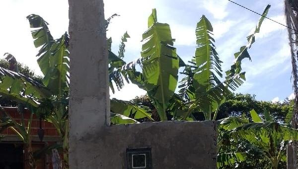 MORADORA DE ILHÉUS DENUNCIA ESPERA DE 3 MESES POR LIGAÇÃO DE ENERGIA ELÉTRICA