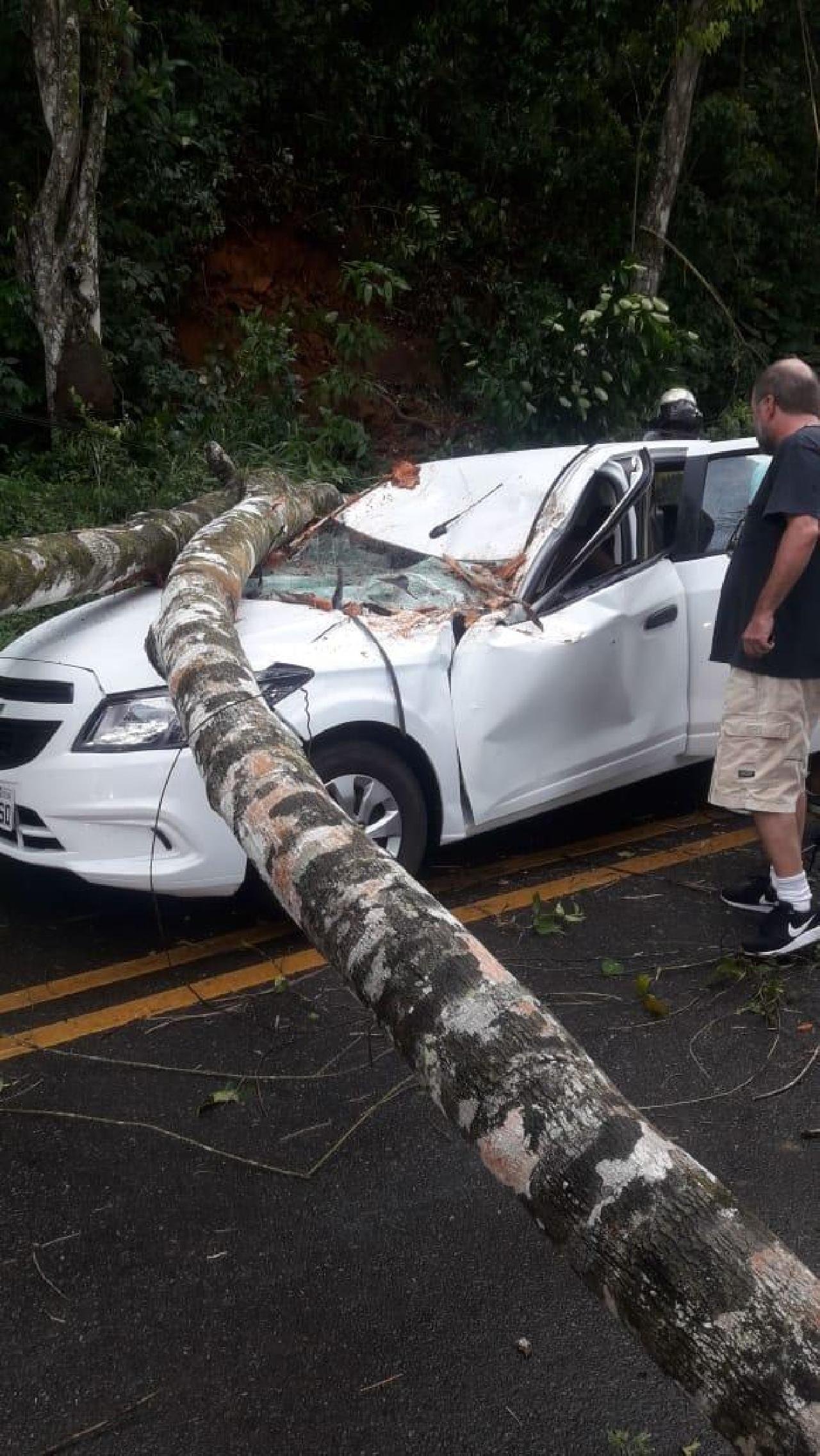 ÁRVORE CAI EM CIMA DE CARRO NA ILHÉUS/ ITABUNA ÁRVORE CAI EM CIMA DE CARRO NA ILHÉUS/ ITABUNA