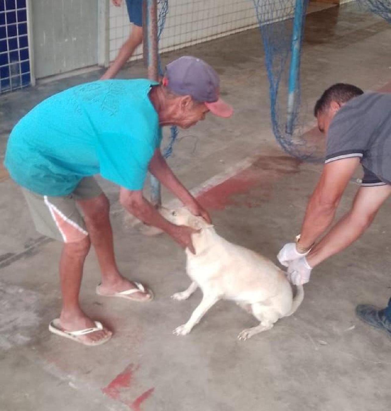VACINAÇÃO ANTIRRÁBICA É INTENSIFICADA EM BAIRROS E NA ZONA RURAL DE ILHÉUS