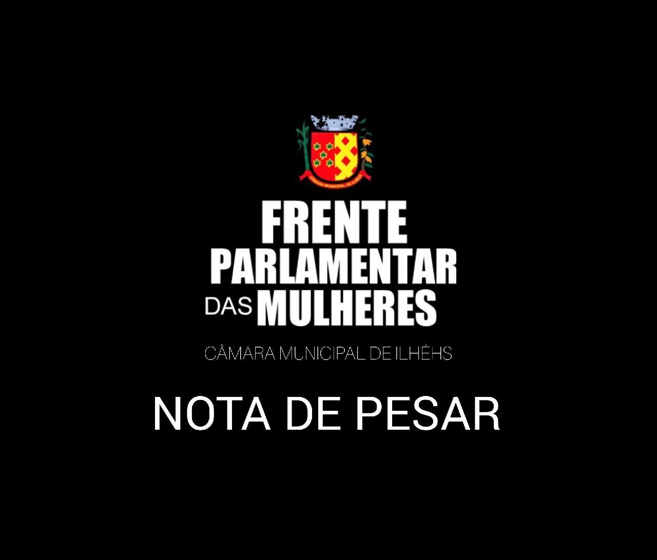 FRENTE PARLAMENTAR DE MULHERES DE ILHÉUS REPUDIA ASSASSINATO E COBRA JUSTIÇA FRENTE PARLAMENTAR DE MULHERES DE ILHÉUS REPUDIA ASSASSINATO E COBRA JUSTIÇA