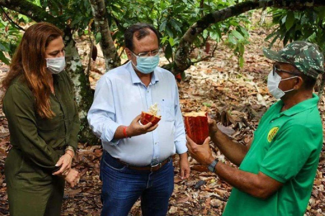 SOANE DEFENDE INCENTIVOS QUE INOVEM E FORTALEÇAM A CULTURA DO CACAU SOANE DEFENDE INCENTIVOS QUE INOVEM E FORTALEÇAM A CULTURA DO CACAU