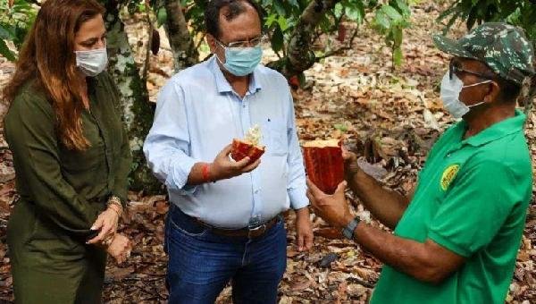 SOANE DEFENDE INCENTIVOS QUE INOVEM E FORTALEÇAM A CULTURA DO CACAU