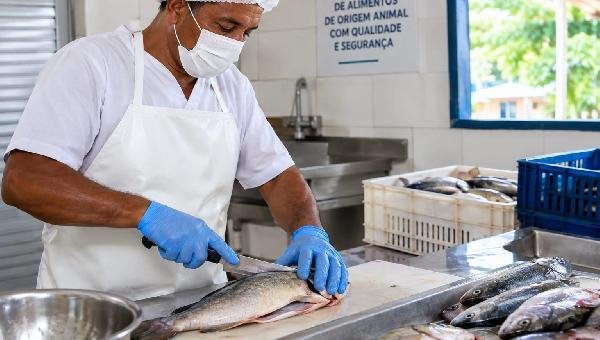 ILHÉUS HABILITA SERVIÇO DE INSPEÇÃO MUNICIPAL PARA PRODUTOS DE ORIGEM ANIMAL