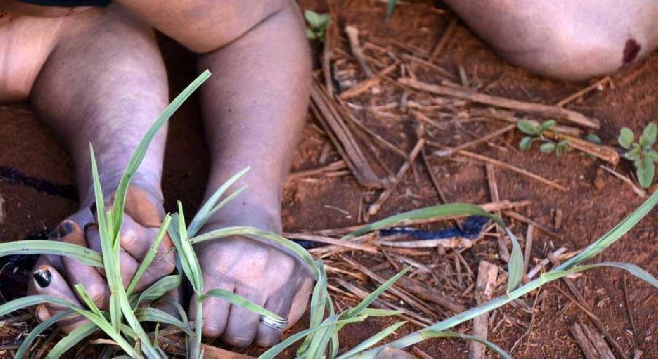 IPEA: HOMICÍDIOS DE MULHERES CRESCERAM ACIMA DA MÉDIA NACIONAL IPEA: HOMICÍDIOS DE MULHERES CRESCERAM ACIMA DA MÉDIA NACIONAL