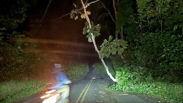 DESLIZAMENTO INTERDITA PARTE DA BA-001 ENTRE ILHÉUS E ITACARÉ DESLIZAMENTO INTERDITA PARTE DA BA-001 ENTRE ILHÉUS E ITACARÉ