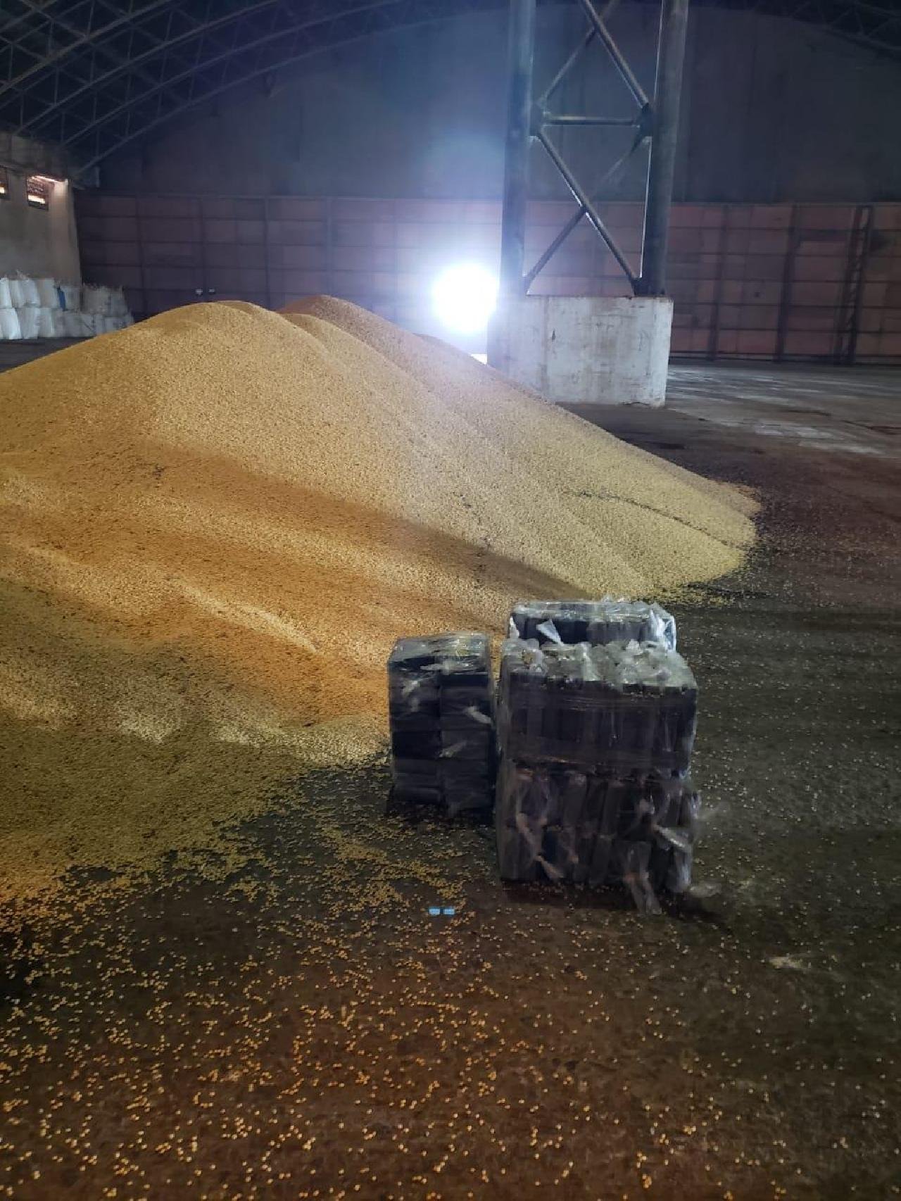 PF JÁ ENCONTROU MAIS DE MEIA TONELADA DE COCAÍNA NO PORTO DE ILHÉUS PF JÁ ENCONTROU MAIS DE MEIA TONELADA DE COCAÍNA NO PORTO DE ILHÉUS
