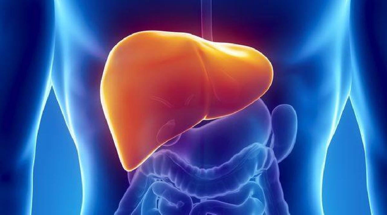NÚMERO DE PACIENTES COM HEPATITE CRESCE 20% EM 10 ANOS NO BRASIL NÚMERO DE PACIENTES COM HEPATITE CRESCE 20% EM 10 ANOS NO BRASIL