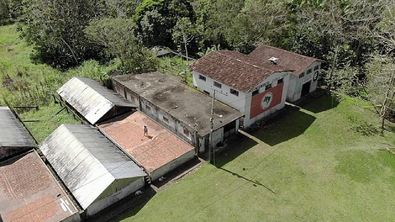 BRASIL DE FATO LANÇA DOCUMENTÁRIO SOBRE PRODUÇÃO DE CACAU AGROECOLÓGICO EM EVENTO DO MST NA ÁFRICA DO SUL BRASIL DE FATO LANÇA DOCUMENTÁRIO SOBRE PRODUÇÃO DE CACAU AGROECOLÓGICO EM EVENTO DO MST NA ÁFRICA DO SUL