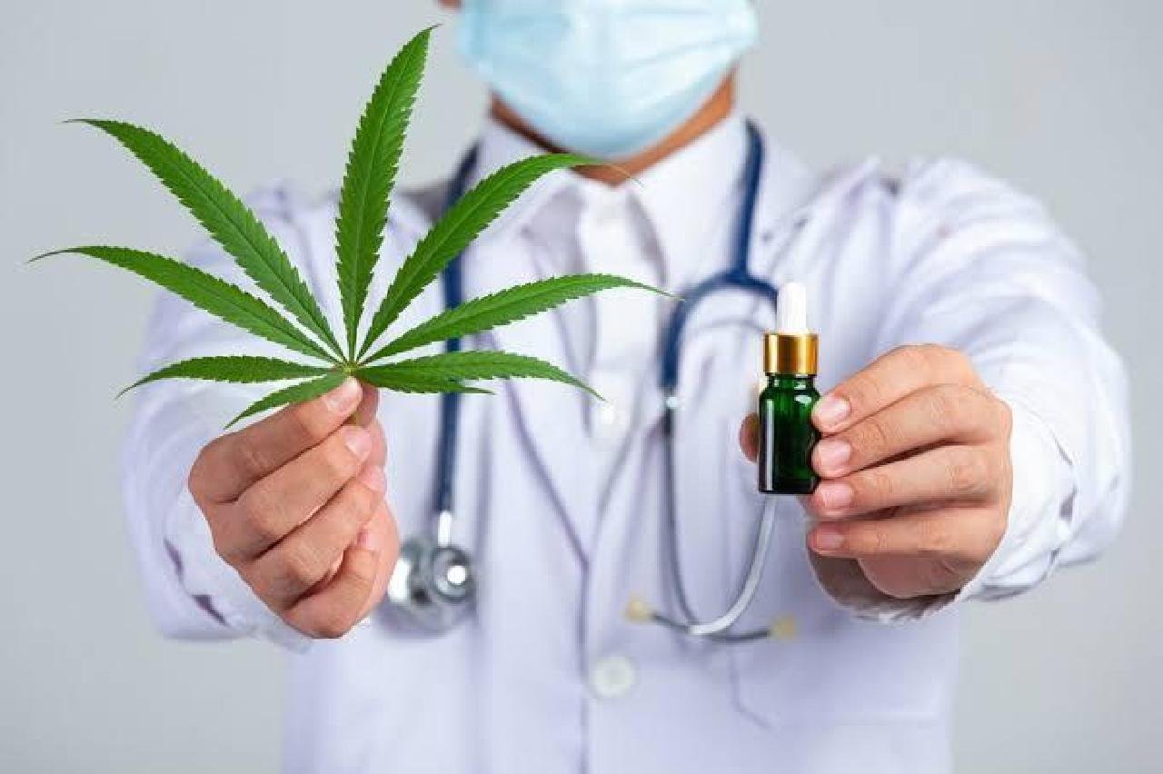 CÂMARA DE ILHÉUS IRÁ DISCUTIR SOBRE O USO TERAPÊUTICO DA CANNABIS CÂMARA DE ILHÉUS IRÁ DISCUTIR SOBRE O USO TERAPÊUTICO DA CANNABIS