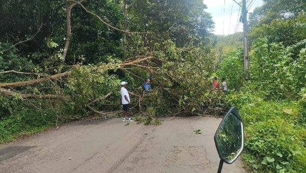 FRENTE FRIA PROVOCA OCORRÊNCIAS EM ILHÉUS E REGIÃO COM QUEDAS DE ÁRVORES, INCÊNDIO EM TRANSFORMADOR E DESLIZAMENTO DE TERRA FRENTE FRIA PROVOCA OCORRÊNCIAS EM ILHÉUS E REGIÃO COM QUEDAS DE ÁRVORES, INCÊNDIO EM TRANSFORMADOR E DESLIZAMENTO DE TERRA