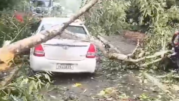 ÁRVORE CAI SOBRE CARRO EM MOVIMENTO NA ILHÉUS–URUÇUCA