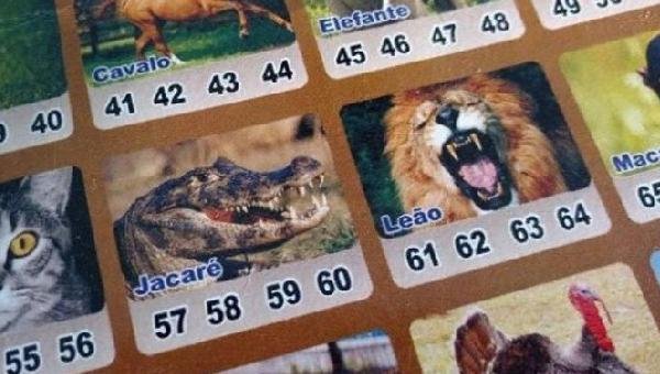 SENADO QUER APROVAR PROJETO QUE LIBERA JOGO DO BICHO AINDA NESTE ANO