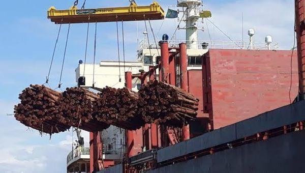 MOVIMENTAÇÃO DE CARGAS NO PORTO DE ILHÉUS CRESCE 247% EM SETE MESES