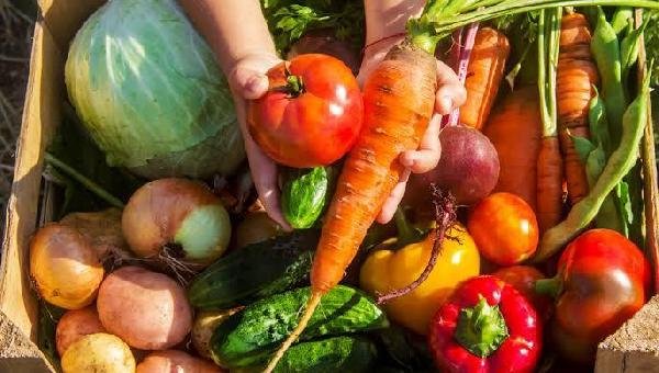 CÂMARA DE ILHÉUS APROVA PROJETO QUE AMPLIA COMPRA DE PRODUTOS DA AGRICULTURA FAMILIAR PELO MUNICÍPIO