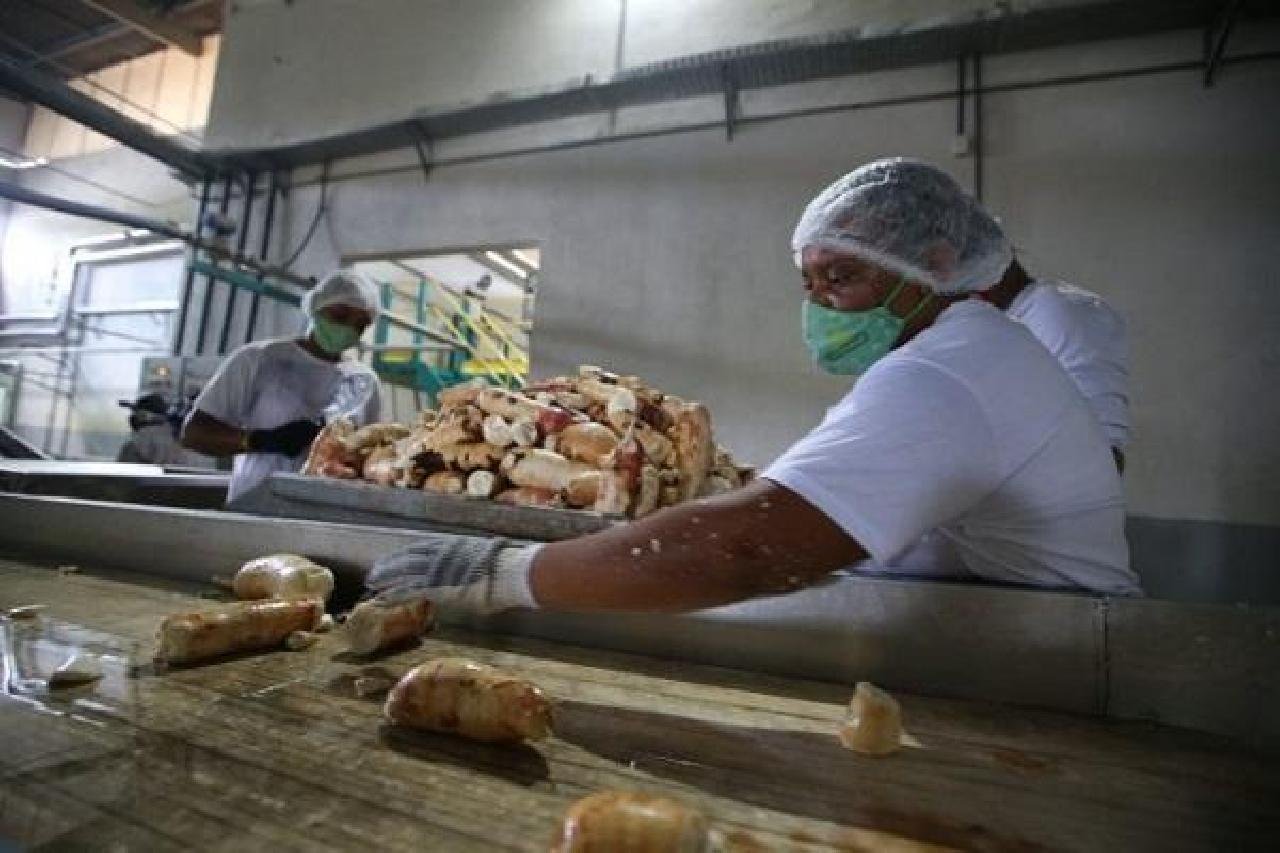 CAGED: BAHIA REGISTRA SALDO DE 15 MIL EMPREGOS COM CARTEIRA ASSINADA CAGED: BAHIA REGISTRA SALDO DE 15 MIL EMPREGOS COM CARTEIRA ASSINADA
