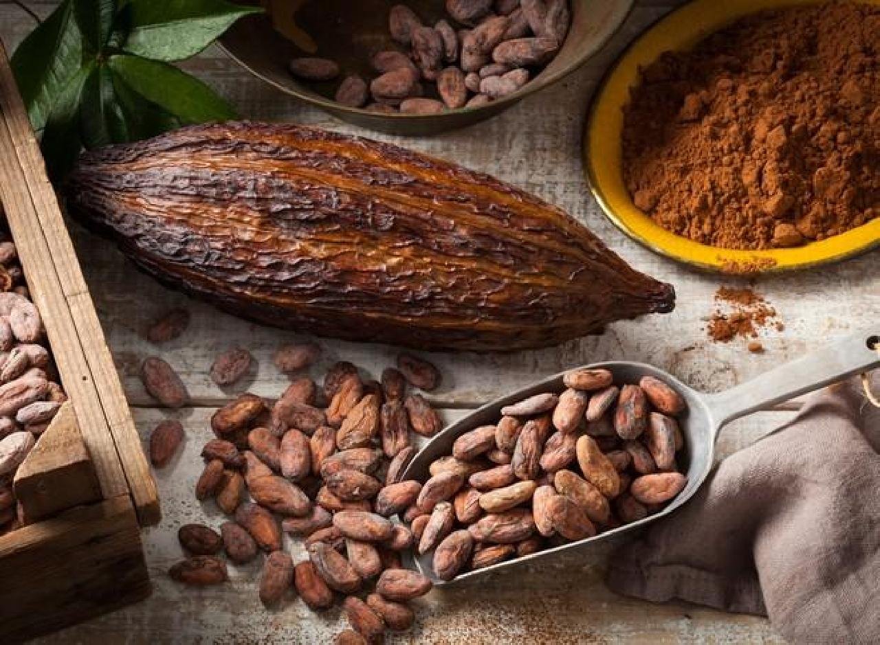 PESQUISADORES DESENVOLVEM TECNOLOGIA QUE ADOÇA CHOCOLATE COM POLPA DE CACAU PESQUISADORES DESENVOLVEM TECNOLOGIA QUE ADOÇA CHOCOLATE COM POLPA DE CACAU