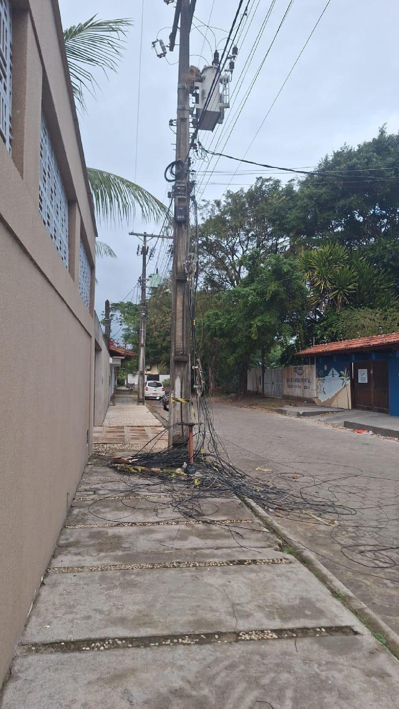 FIACÃO SOLTA PREOCUPA MORADORES NO JARDIM ATLÂNTICO, EM ILHÉUS FIACÃO SOLTA PREOCUPA MORADORES NO JARDIM ATLÂNTICO, EM ILHÉUS