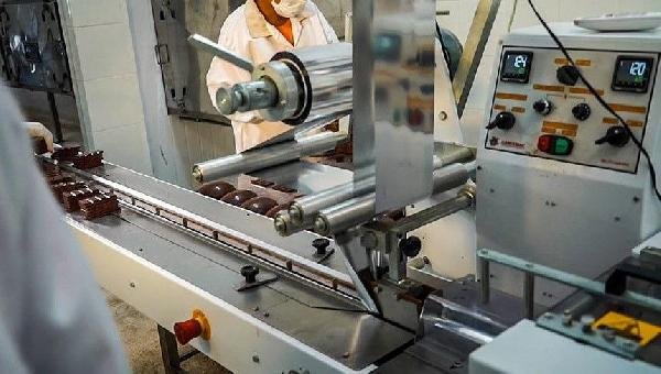 ACM NETO PLANEJA FORTALECER ECONOMIA COM MAIS EXPLORAÇÃO DO CACAU DO SUL DA BAHIA E TECNOLOGIA PARA PRODUTORES DA REGIÃO