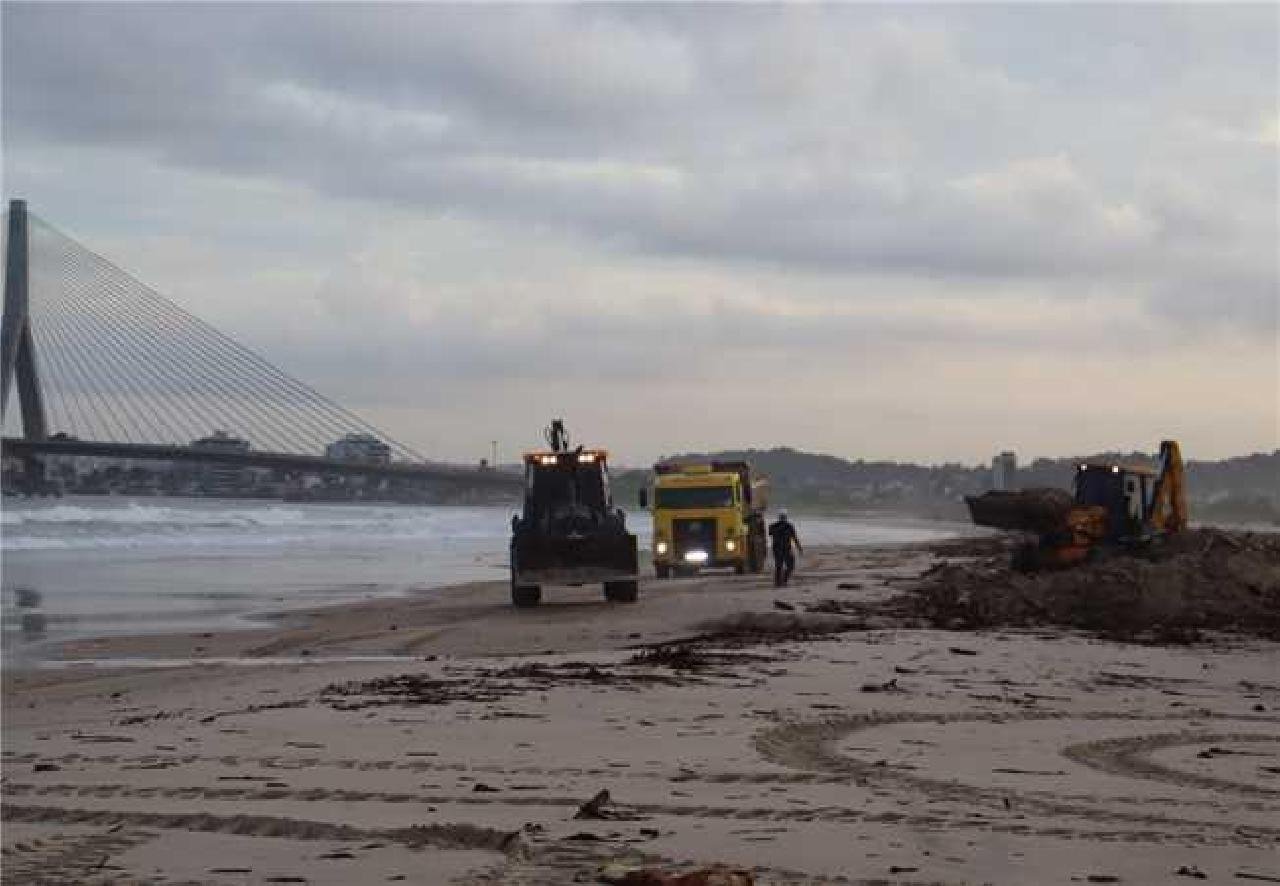 ILHÉUS REFORÇA LIMPEZA DE PRAIAS PARA A RETIRADA DE BARONESAS ILHÉUS REFORÇA LIMPEZA DE PRAIAS PARA A RETIRADA DE BARONESAS