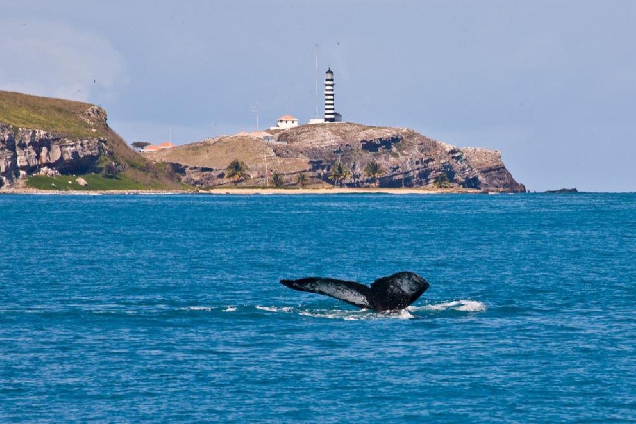 MANCHAS DE ÓLEO CHEGAM AO PARQUE DE ABROLHOS, 1ª UNIDADE DE CONSERVAÇÃO MARINHA DO PAÍS MANCHAS DE ÓLEO CHEGAM AO PARQUE DE ABROLHOS, 1ª UNIDADE DE CONSERVAÇÃO MARINHA DO PAÍS