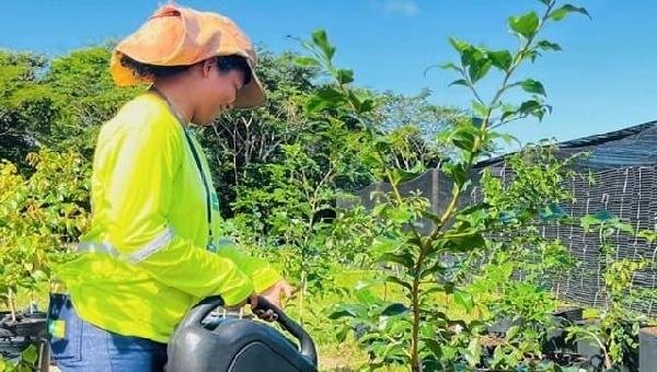 ACM NETO VISA INVESTIMENTO EM AGROINDÚSTRIAS E MIRA PEQUENOS PRODUTORES DO SUL DA BAHIA