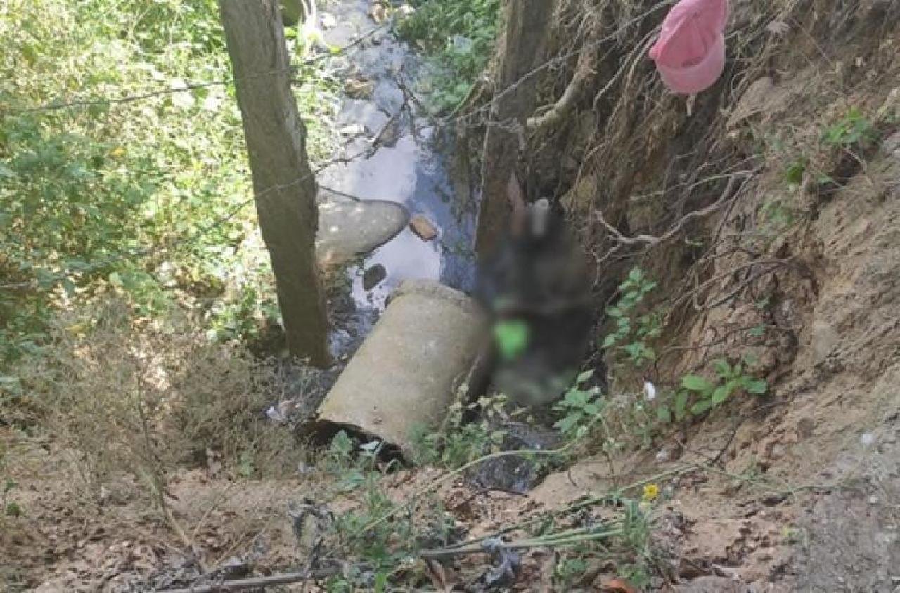 POLÍCIA CIVIL DE IPIAÚ INVESTIGA CASOS DE DUAS PESSOAS ENCONTRADAS MORTAS POLÍCIA CIVIL DE IPIAÚ INVESTIGA CASOS DE DUAS PESSOAS ENCONTRADAS MORTAS