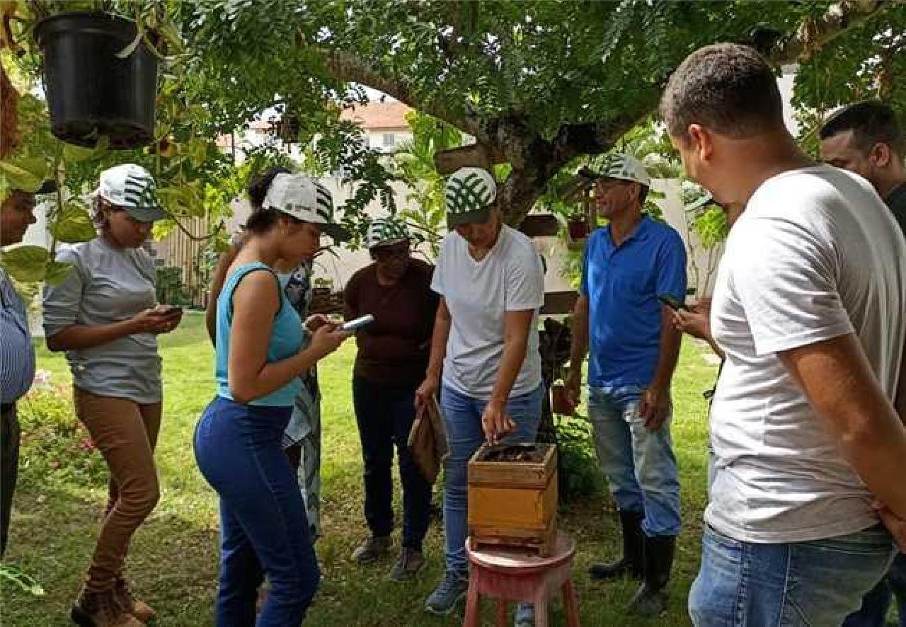MELIPONICULTURA: PREFEITURA DE ILHÉUS PROMOVE CURSO SOBRE CRIAÇÃO DE ABELHAS SEM FERRÃO MELIPONICULTURA: PREFEITURA DE ILHÉUS PROMOVE CURSO SOBRE CRIAÇÃO DE ABELHAS SEM FERRÃO