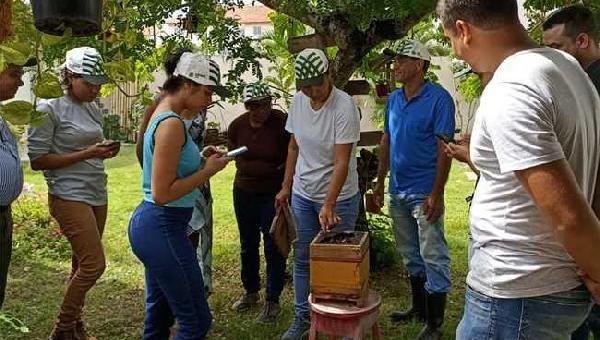 MELIPONICULTURA: PREFEITURA DE ILHÉUS PROMOVE CURSO SOBRE CRIAÇÃO DE ABELHAS SEM FERRÃO 