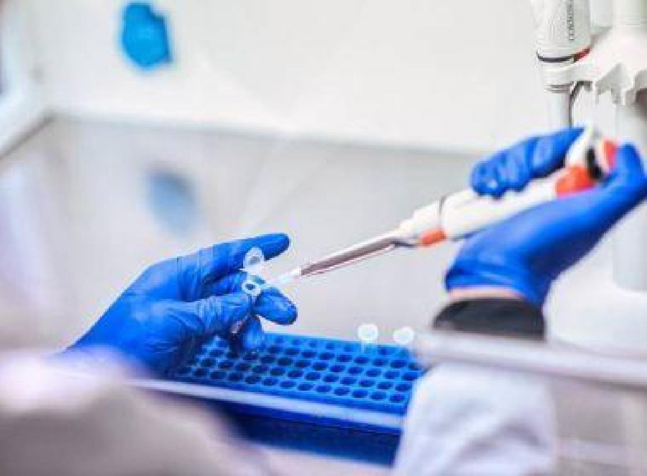 ANVISA AUTORIZA TESTES DE NOVOS TIPOS DE VACINA CONTRA COVID-19 NA BAHIA ANVISA AUTORIZA TESTES DE NOVOS TIPOS DE VACINA CONTRA COVID-19 NA BAHIA