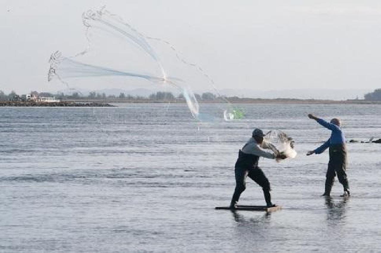 FORAM DEBATIDOS EM SEMINÁRIO SAÚDE DE PESCADORES E MARISQUEIRAS DE ILHÉUS FORAM DEBATIDOS EM SEMINÁRIO SAÚDE DE PESCADORES E MARISQUEIRAS DE ILHÉUS