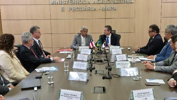 BAHIA TERÁ PREVISÃO DE SAFRA DE CACAU APÓS ACORDO SOBRE PRODUÇÃO