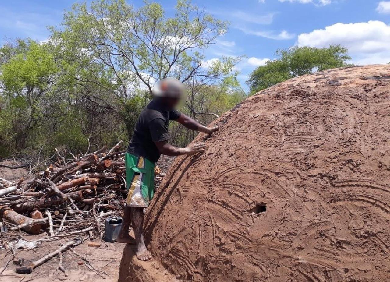 EM CONDIÇÕES PRECÁRIAS TRABALHADORES BAIANOS SÃO RESGATADOS DE CARVOARIA NO PIAUÍ EM CONDIÇÕES PRECÁRIAS TRABALHADORES BAIANOS SÃO RESGATADOS DE CARVOARIA NO PIAUÍ