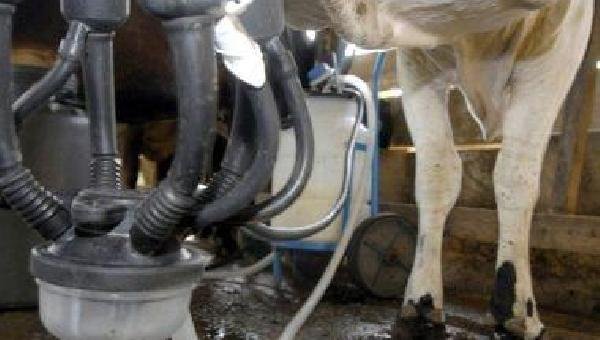  BAHIA TEM MAIOR ALTA NO PREÇO DO LEITE EM OUTUBRO