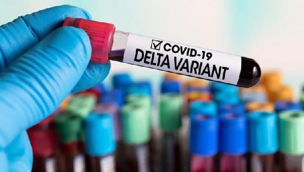 VARIANTE DELTA É DETECTADA EM AMOSTRAS DE ILHÉUS, ITABUNA E CANAVIEIRAS