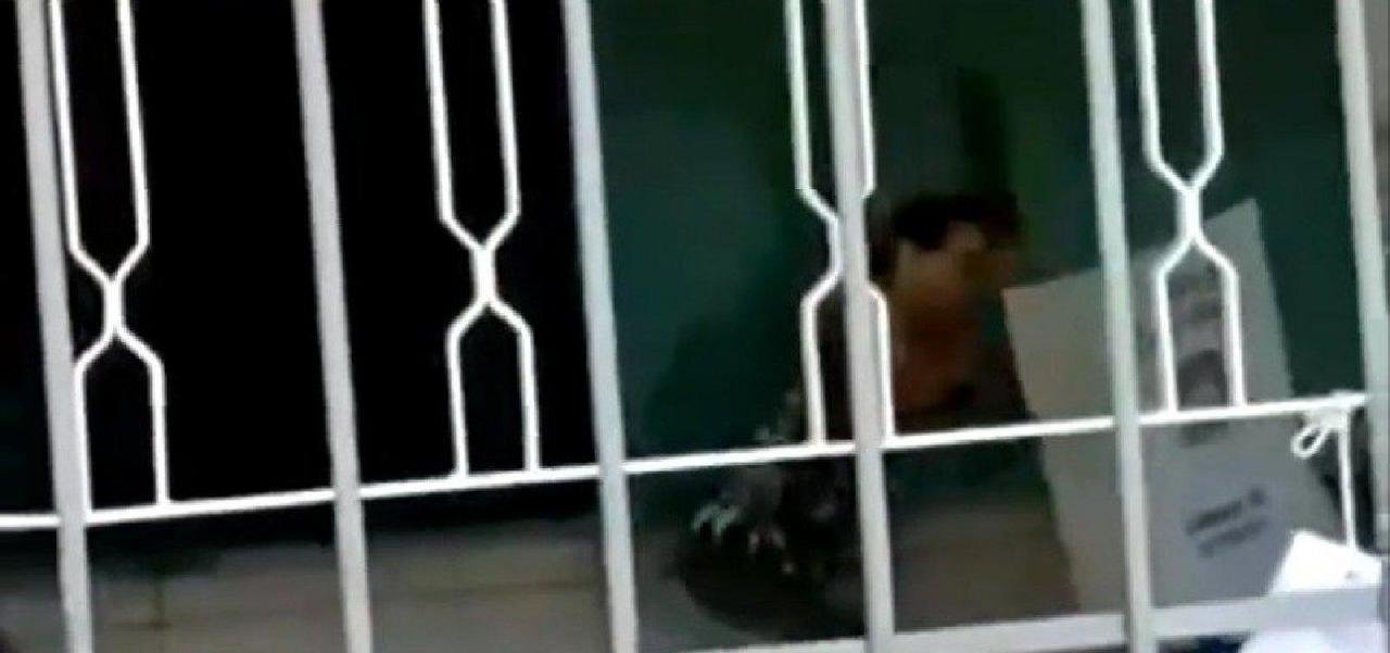 ELEITOR É PRESO POR QUEBRAR URNA A PAULADAS EM COLÉGIO DE GOIÂNIA ELEITOR É PRESO POR QUEBRAR URNA A PAULADAS EM COLÉGIO DE GOIÂNIA