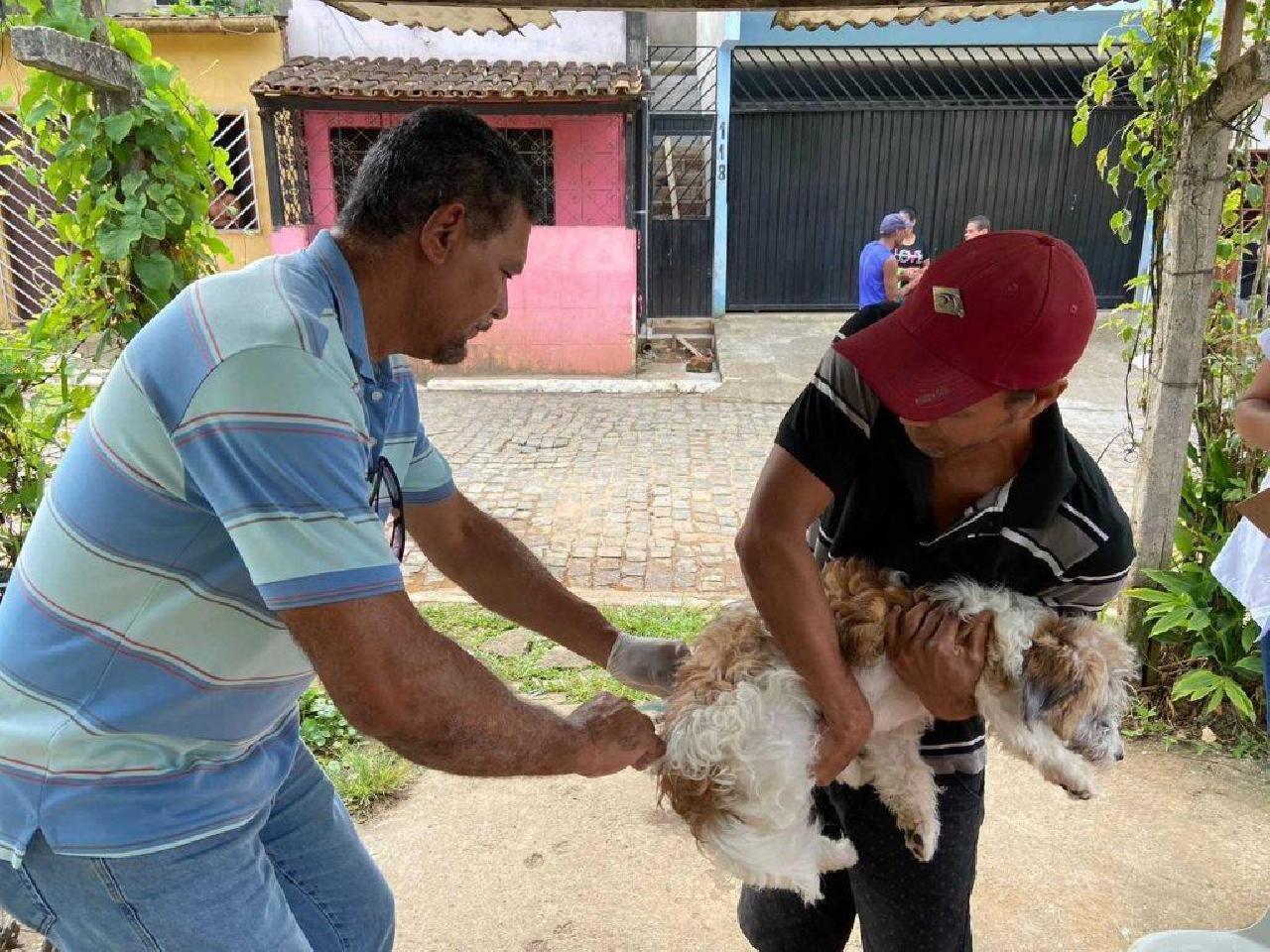 PATRULHA DA VACINAÇÃO: PREFEITURA DE ILHÉUS DIVULGA CRONOGRAMA SEMANAL DA CAMPANHA ANTIRRÁBICA PATRULHA DA VACINAÇÃO: PREFEITURA DE ILHÉUS DIVULGA CRONOGRAMA SEMANAL DA CAMPANHA ANTIRRÁBICA