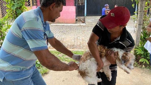 PATRULHA DA VACINAÇÃO: PREFEITURA DE ILHÉUS DIVULGA CRONOGRAMA SEMANAL DA CAMPANHA ANTIRRÁBICA