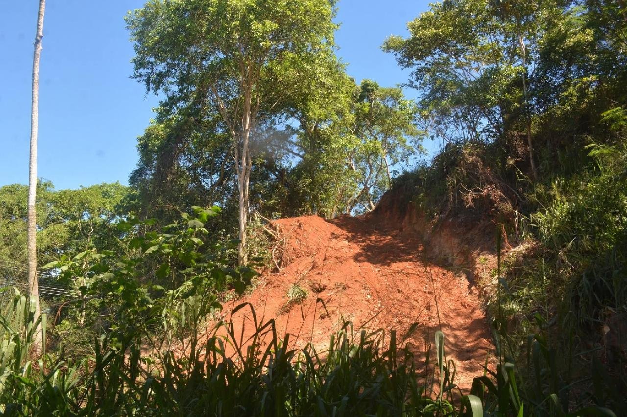 JORNALISTA E MESTRE EM BIODIVERSIDADE DENUNCIA MOVIMENTAÇÃO DE TERRA E POSSÍVEIS INTERVENÇÕES IRREGULARES NO PARQUE DA BOA ESPERANÇA