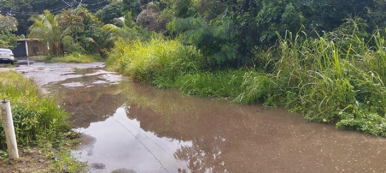 MORADORES DENUNCIAM ABANDONO NA RUA RIO ALMADA, NO JARDIM SAVÓIA, ZONA NORTE DE ILHÉUS MORADORES DENUNCIAM ABANDONO NA RUA RIO ALMADA, NO JARDIM SAVÓIA, ZONA NORTE DE ILHÉUS