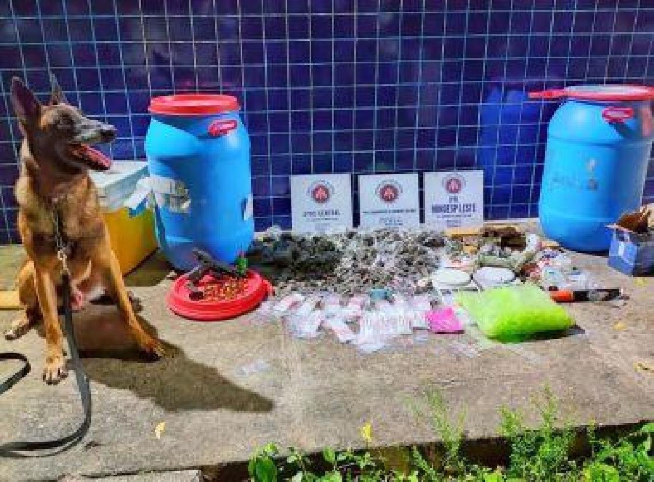 IRARÁ: CÃO FAREJADOR AJUDA PMS A LOCALIZAR ESCONDERIJO DE DROGAS DE FACÇÃO IRARÁ: CÃO FAREJADOR AJUDA PMS A LOCALIZAR ESCONDERIJO DE DROGAS DE FACÇÃO