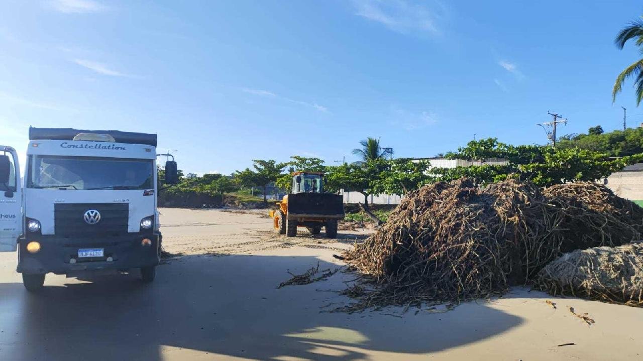 LIMPEZA DAS PRAIAS PARA RETIRADA DE BARONESAS É INTENSIFICADA EM ILHÉUS