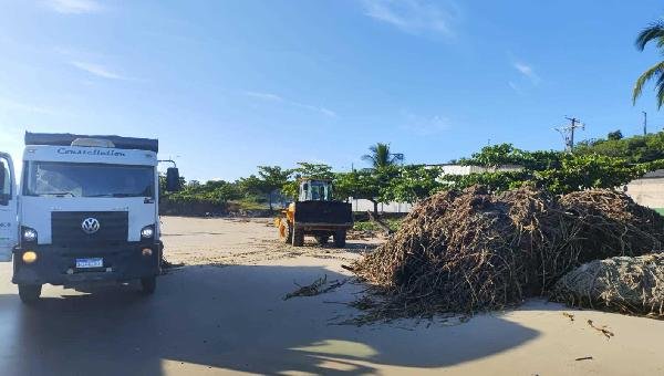 LIMPEZA DAS PRAIAS PARA RETIRADA DE BARONESAS É INTENSIFICADA EM ILHÉUS