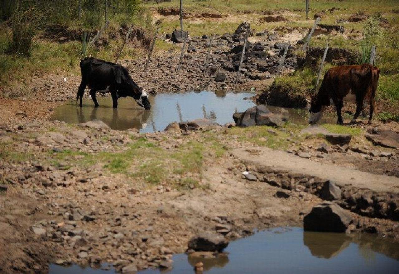 ESTIAGEM: ESTADO RECONHECE SITUAÇÃO DE EMERGÊNCIA EM 146 CIDADES BAIANAS ESTIAGEM: ESTADO RECONHECE SITUAÇÃO DE EMERGÊNCIA EM 146 CIDADES BAIANAS